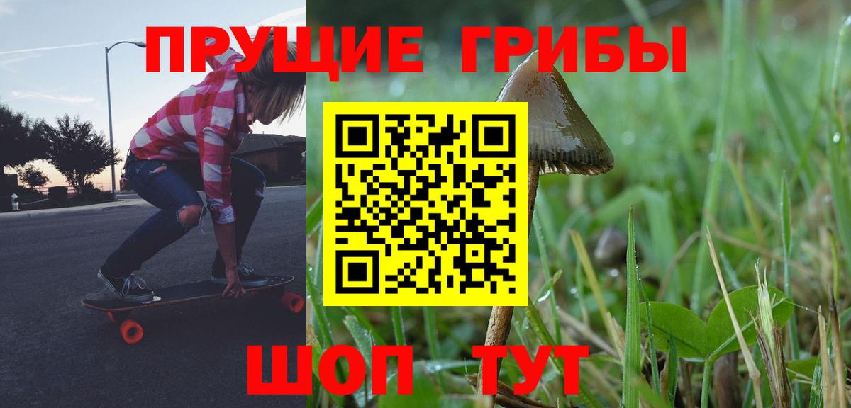Псилоцибиновые грибы GOLDEN TEACHER Пенза