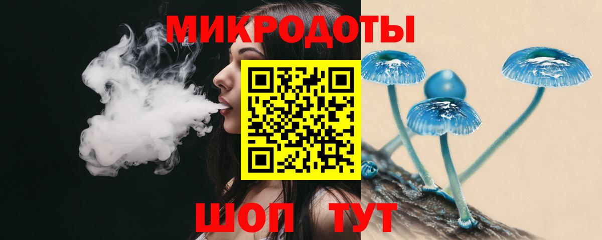 Галлюциногенные грибы Psilocybe  Вход с VPN  Пенза 